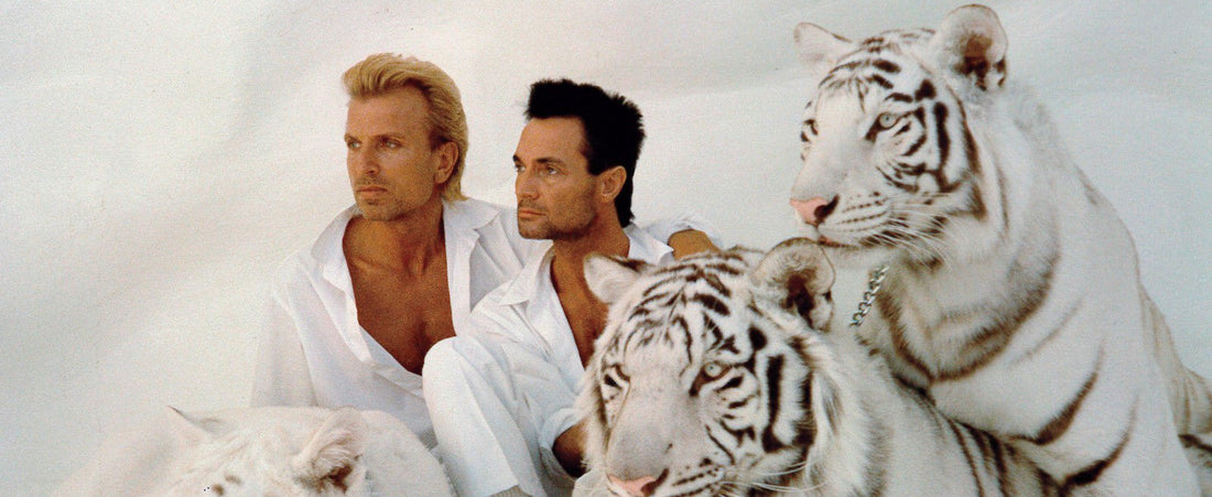 Siegfried & Roy: la magia dei sogni… tra tigri bianche e leggende di Las Vegas