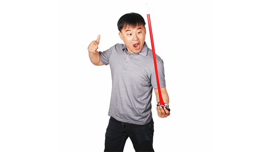 Bacchette Magiche da Portamonete Pro