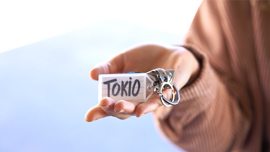 FLYYY - Anello nel Portachiavi e Master Prediction Tascabile