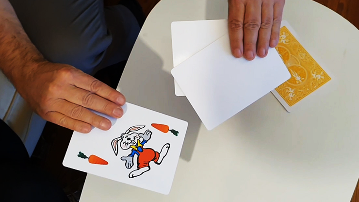 Coniglio sull'arcobaleno - Rabbit On The Rainbow