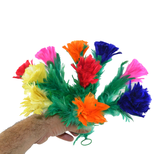 Fiori di piuma per apparizione – 10F