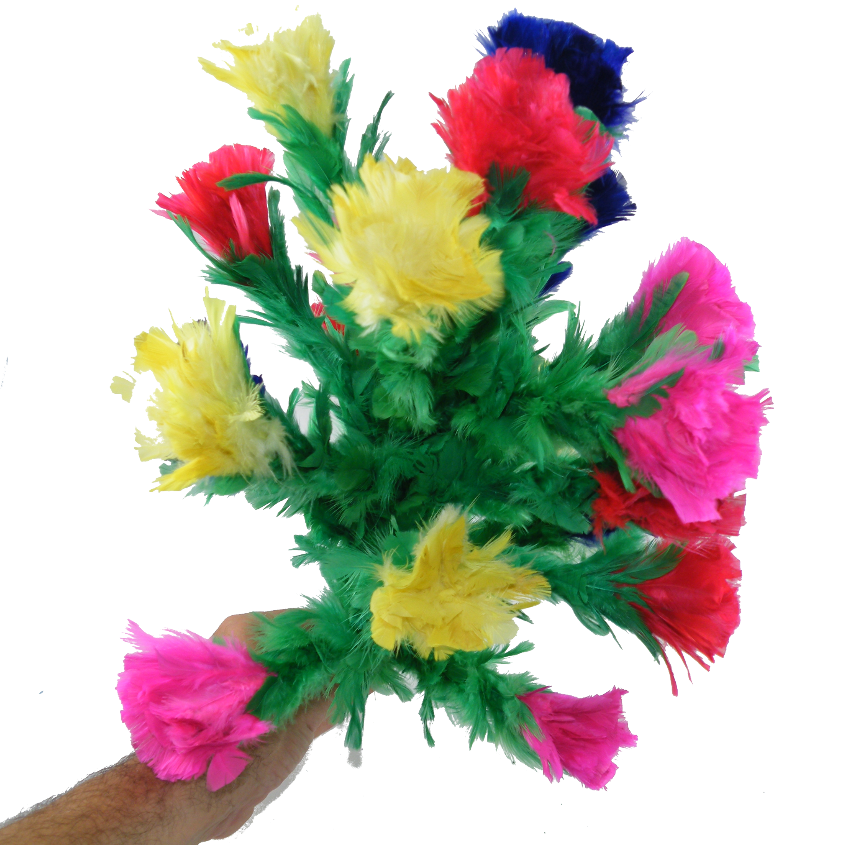 Fiori di piuma per apparizione BIG – 20F