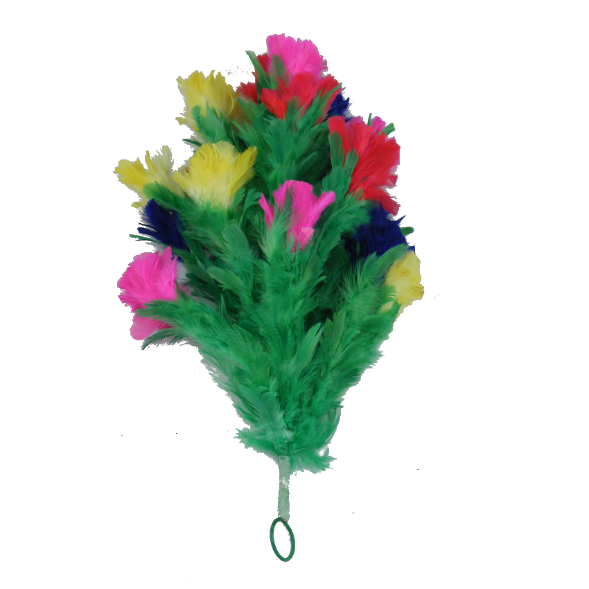 Fiori di piuma per apparizione BIG – 20F