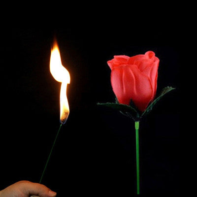 Torcia in Rosa - Torch to Rose