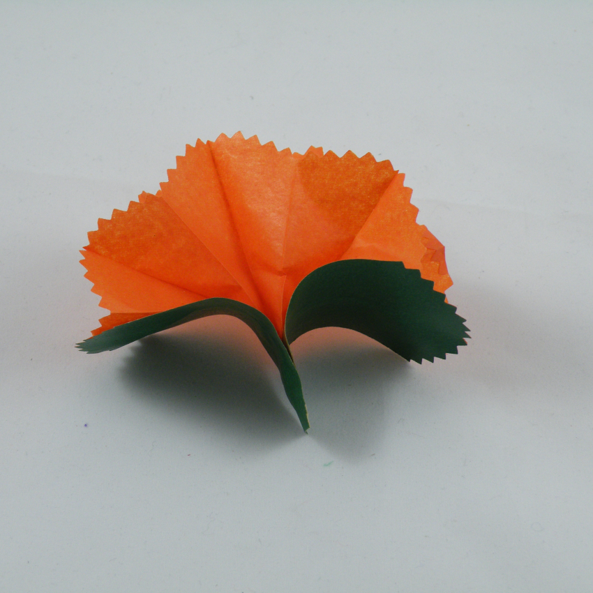 Fori a molla dalle mani - 16 - Carta