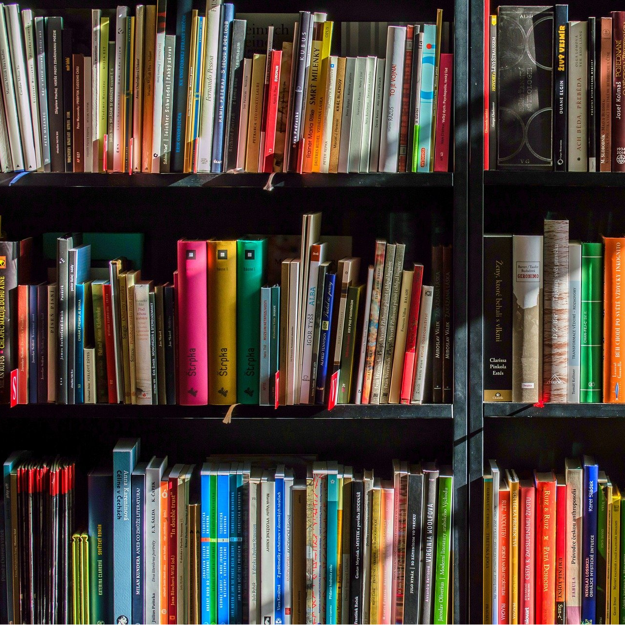 Libri