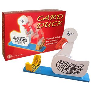 Papera Cattura Carte - Educated Duck