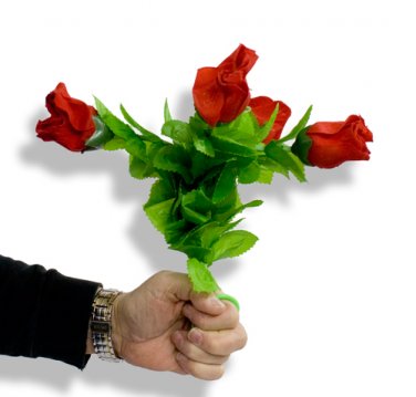 Mazzo di Rose che Appassiscono - Amazing Split Rose