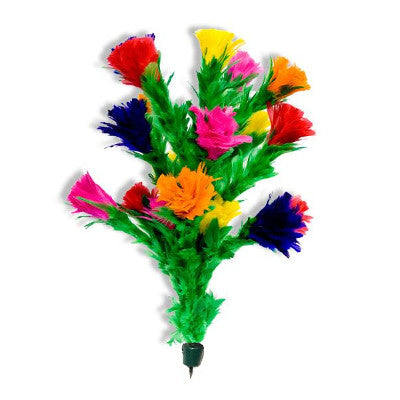 Fiori di piuma per apparizione con Dardo – 6F