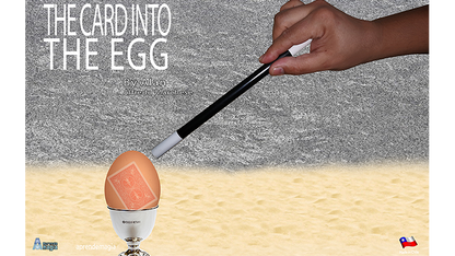 La Carta nell'Uovo - The Card into the Egg