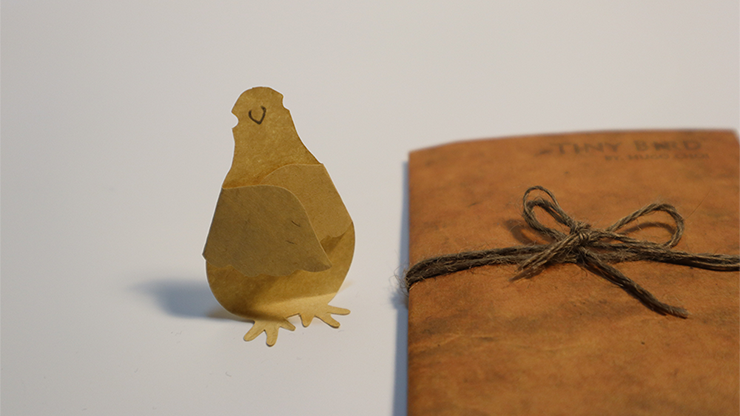 L'Uccelino Prodigioso - Tiny Bird