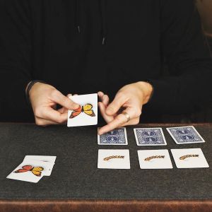 CaterFly by Magical Project