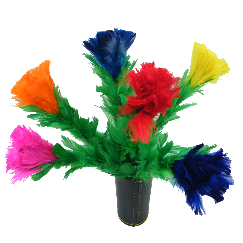 Fiori di piuma per apparizione – 6F