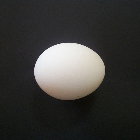 Uovo sul Ventaglio Lattice Bianco - Latex Egg On Fan Withe