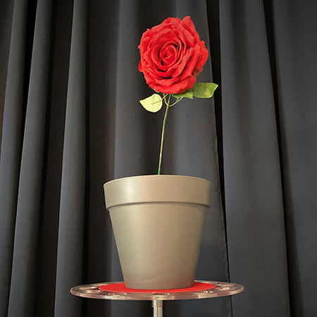 Fiore che Appasisce nel Vaso - Jolie Fleur
