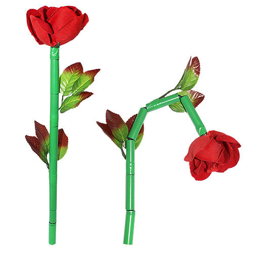 Rosa che si Rompe - Breakaway Flower