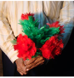 Mazzo di Fiori che Appassiscono - Piume - Amazing Split Flower