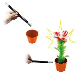magic appearing flowers